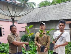 Partamina Adera Field berikan bantuan 1000 batang bibit pohon buah di wilayah kerjanya