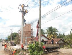 Tingkatkan Kualitas Kelistrikan, PLN Rayon Pendopo Ganti Kabel SUTM ke SKTM