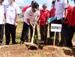2000 Bibit Buah Siap Ditanam, Sukseskan Gerakan Pulawan Bueh