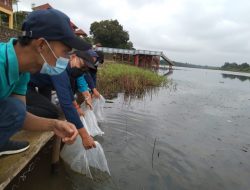Jaga Ekosistem, 140 Ribu Benih Ikan Ditebar