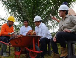 Realisasikan Hulu-Hilir Kelapa Sawit Rakyat