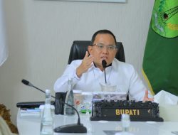Bupati Dodi Reza Jadi Narasumber Muba Environment Webinar Forum 2021