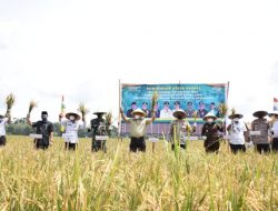 Hasil Pertanian Meningkat, Bupati Muba Apresiasi Petani
