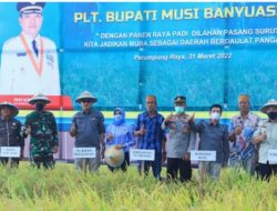 Plt Bupati Beni Panen Raya Padi dan Tanam IP 200 Sawah Pasang Surut