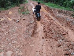 Masyarakat Nagari Muara Tais Minta Perbaikan Jalan