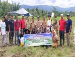 Wakil Ketua DPRD Pasaman Mengapresiasi atas peresmian (Demplot) percontohan tanaman jagung