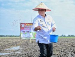 Bupati Banyuasin Tanam Perdana Padi IP 200 Untuk Kesejahteraan Petani