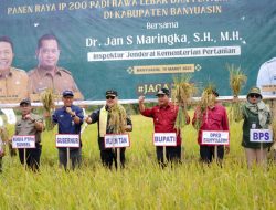 Bupati Banyuasin dan Inspektur Jenderal Kementerian Pertanian RI gelar panen raya