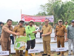 Terus Tekan Inflasi, Banyuasin Ikut Gerakan Tanam Serentak Cabai Dan Bawang Merah