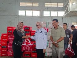 Wabup Banyuasin Netta Indian, Serahkan Bantuan Pada Masyarakat Terdampak Banjir